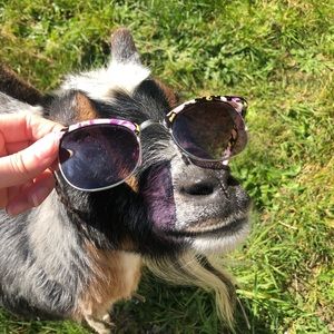 Meet your Posher, Isabel